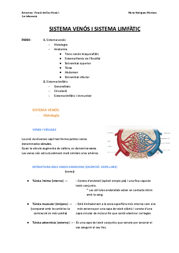 Miniatura del documento Bloc-I-T1.c.-Aparell-cardiovascular-Sistema-venos-i-Sistema-limfatic-4.pdf