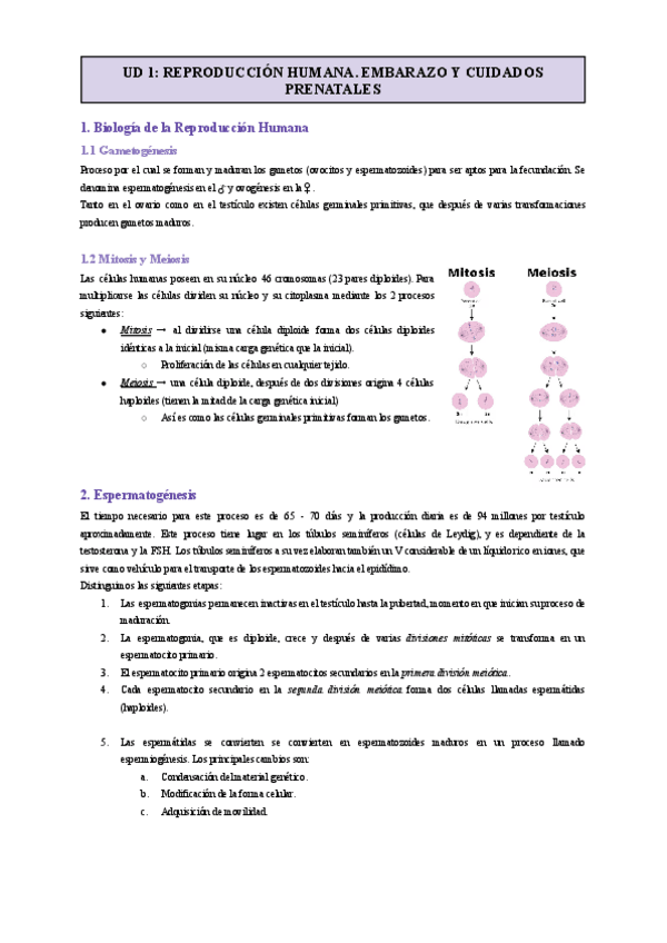Miniatura del documento UD-1-REPRODUCCION-HUMANA.-EMBARAZO-Y-CUIDADOS-PRENATALES-1.pdf