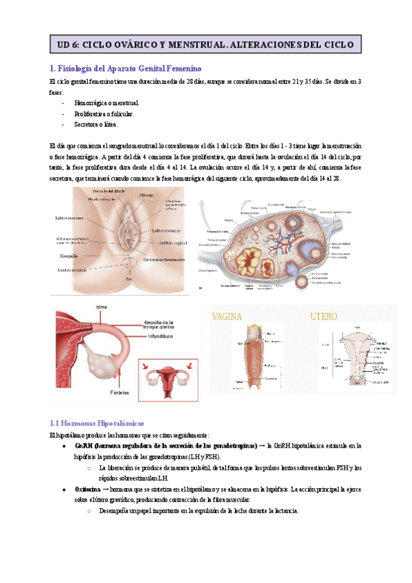 Miniatura del documento UD-6-CICLO-OVARICO-Y-MENSTRUAL.-ALTERACIONES-DEL-CICLO.pdf
