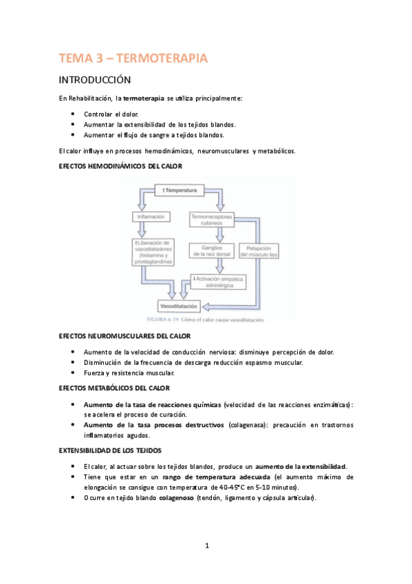 Miniatura del documento 3-RH-Termoterapia.pdf