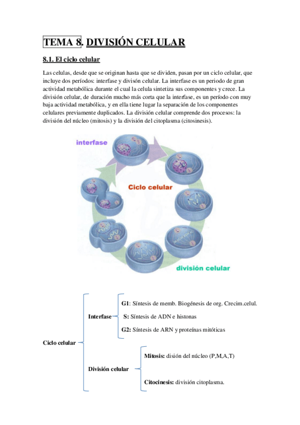 Miniatura del documento TEMA 8.pdf