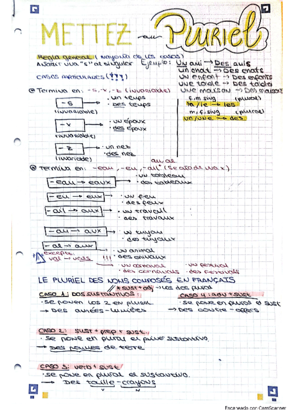 Miniatura del documento plural-en-frances.pdf