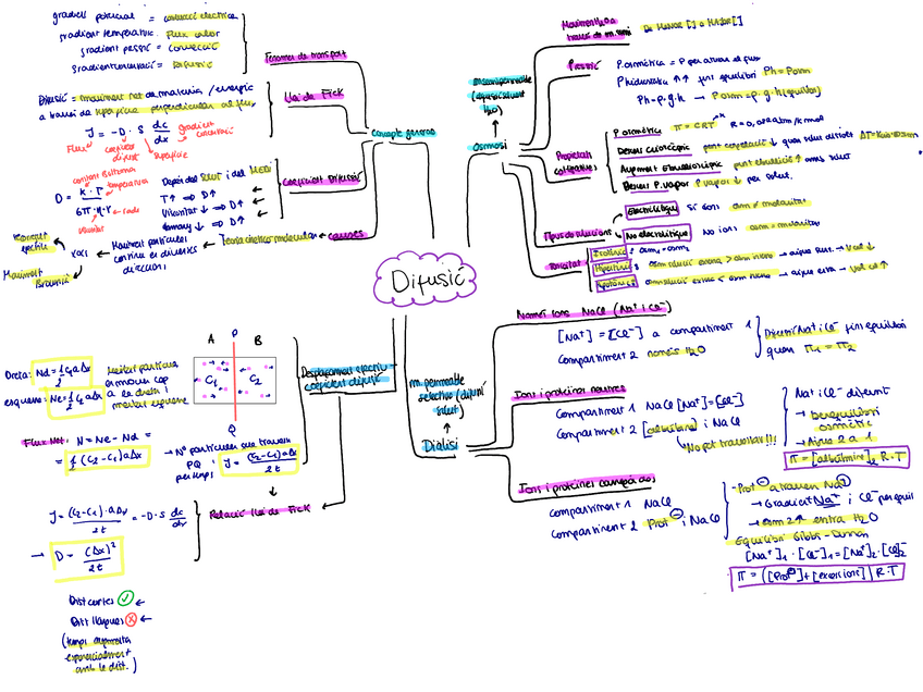 Miniatura del documento biofisica-Audicio-i-Difusio.pdf