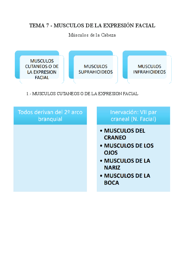 Miniatura del documento TEMA-7.pdf