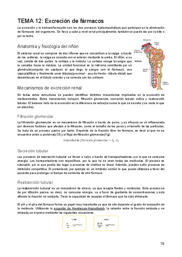 Miniatura del documento TEMA-12-Excrecion-de-farmacos.pdf