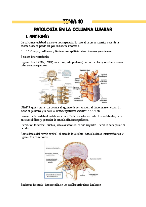 Miniatura del documento Tema-10.pdf