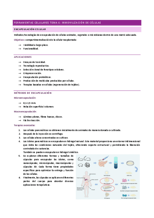 Miniatura del documento FERRAMENTAS-CELULARES-TEMA-6.pdf