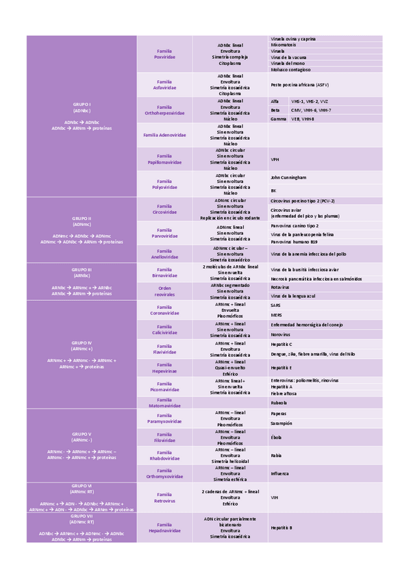 Miniatura del documento Clasificacion-virus.pdf
