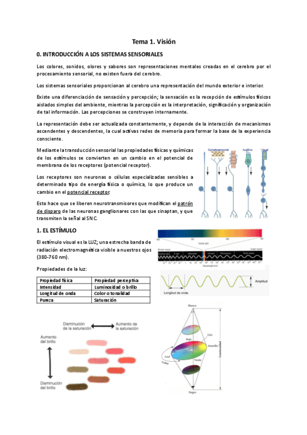 Miniatura del documento Tema-1.-Vision.pdf