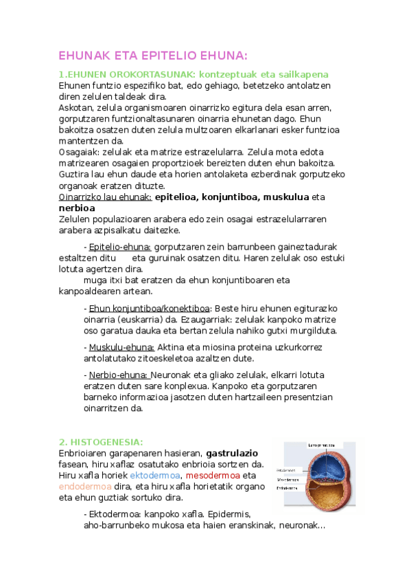 Miniatura del documento 13.-GAIA-EHUNAK-ETA-EPITELIO-EHUNA.docx