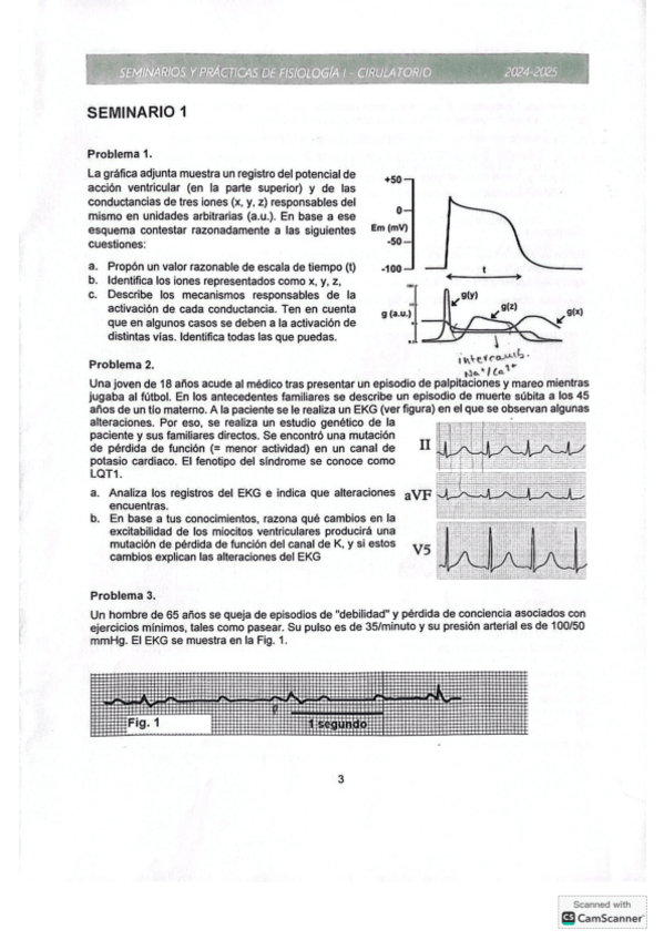 Miniatura del documento Seminarios-resueltos-fisiologia-circulatorio-UVa.pdf