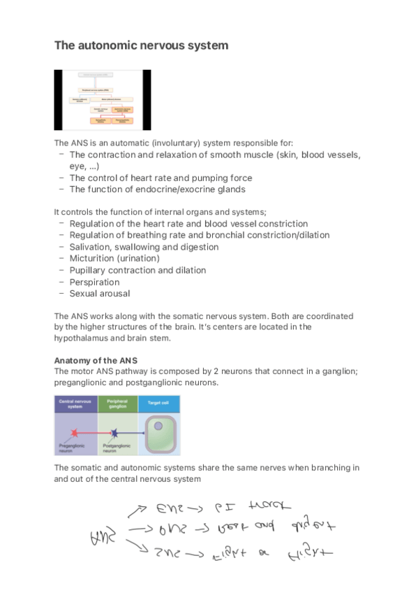 Miniatura del documento The-autonomic-nervous-system.pdf