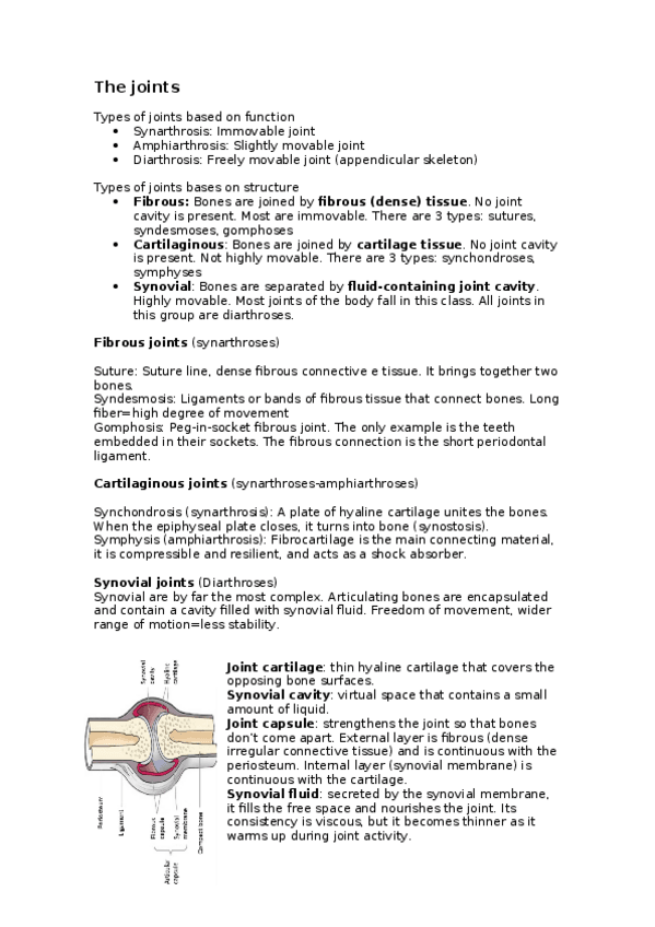 Miniatura del documento The-joints.docx