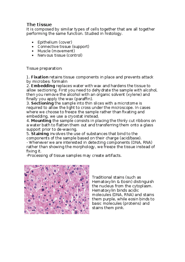 Miniatura del documento The-tissue.docx