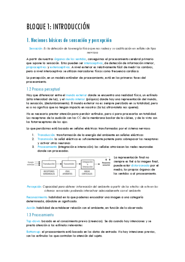 Miniatura del documento percepcion-apuntes.pdf