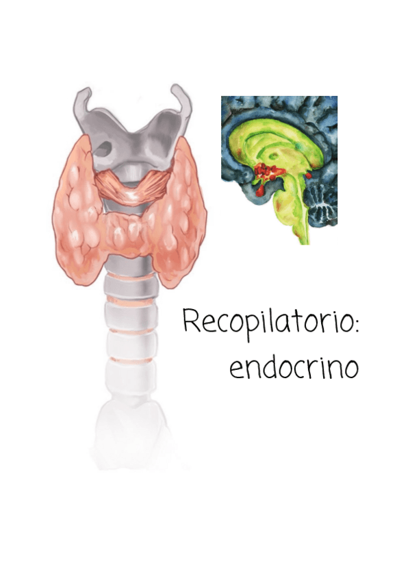 Miniatura del documento Recopilatorio-Examenes-Endocrino.pdf