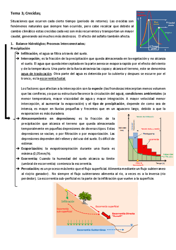 Miniatura del documento Tema-3-Crecidas.pdf