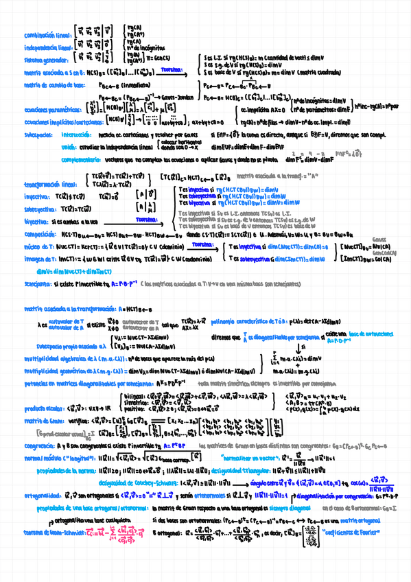 Miniatura del documento resumen.pdf