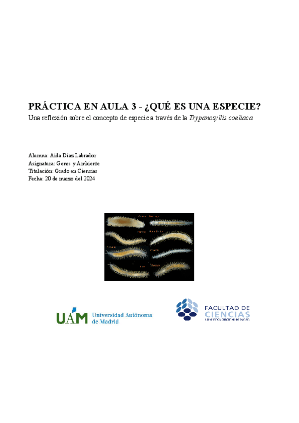 Miniatura del documento GIA-Informe-PA3.docx.pdf