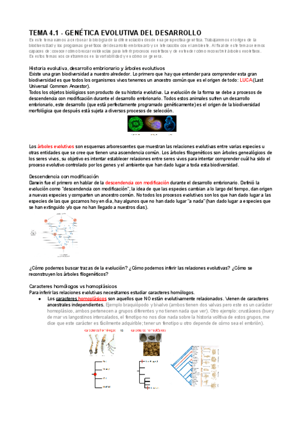 Miniatura del documento GIA-Apuntes-Tema-4.1.docx.pdf