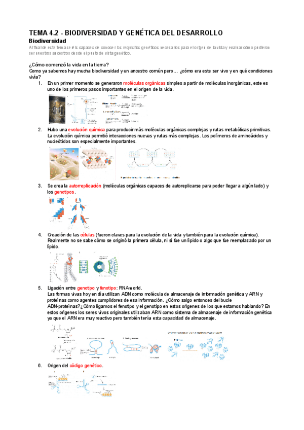 Miniatura del documento GIA-Apuntes-Tema-4.2.docx.pdf