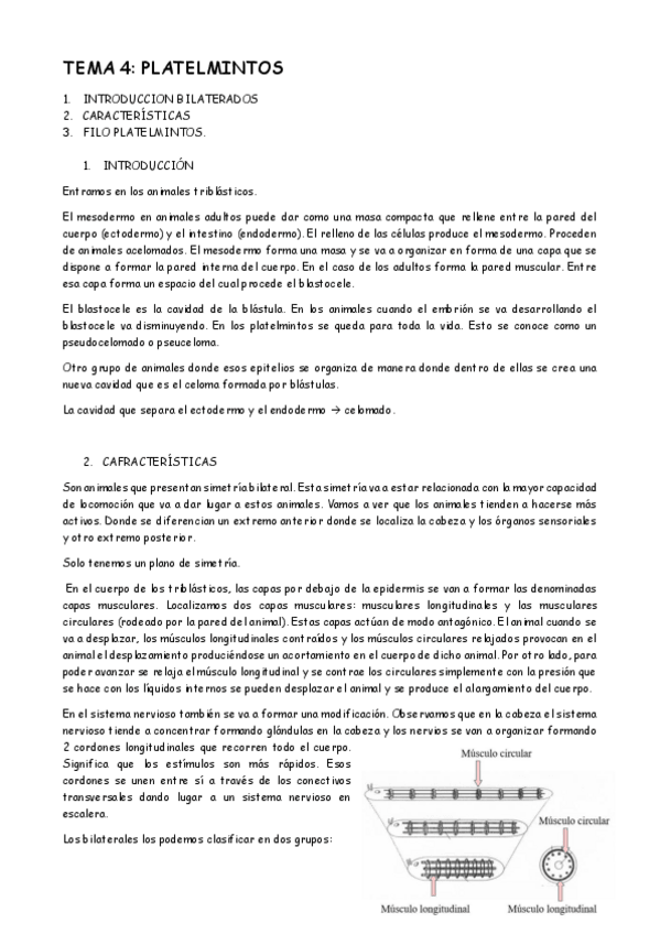 Miniatura del documento TEMA 4 FAUNA.pdf