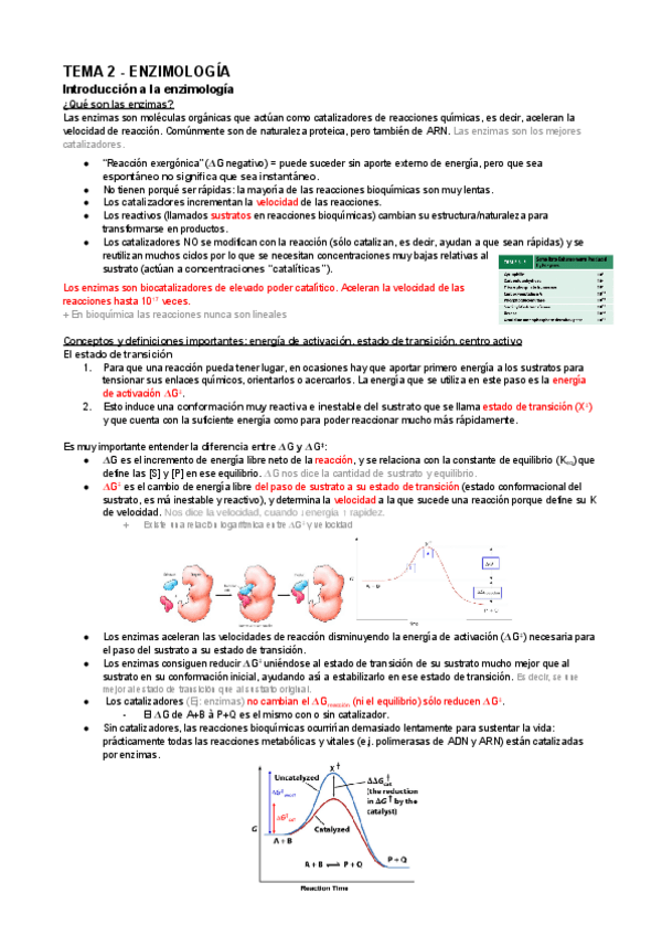 Miniatura del documento BQ-Apuntes-Tema-2.docx.pdf