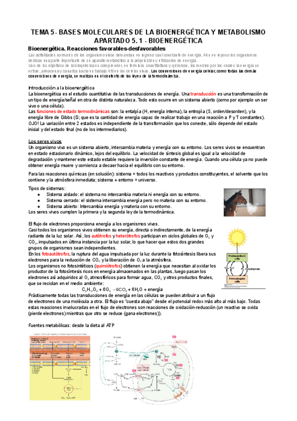 Miniatura del documento BQ-Apuntes-Tema-5.1.docx.pdf