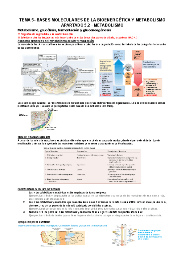 Miniatura del documento BQ-Apuntes-Tema-5.2.docx.pdf