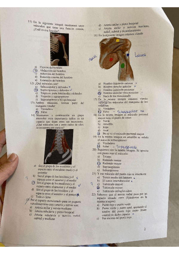 Miniatura del documento EXAMEN-ANATOMIA-ENERO-2025.pdf