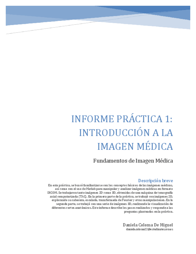 Miniatura del documento InformePractica1DanielaColoma.pdf