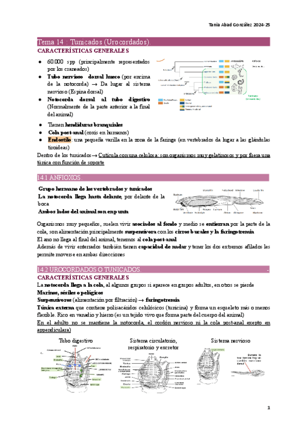 Miniatura del documento ZOO1-Tema14.pdf