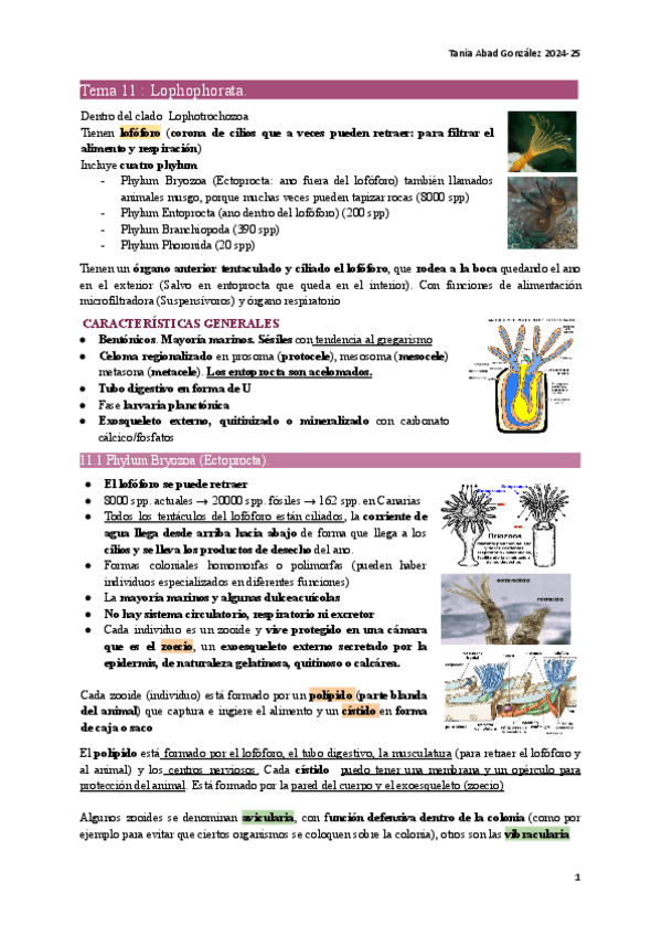 Miniatura del documento ZOO1-Tema11.pdf