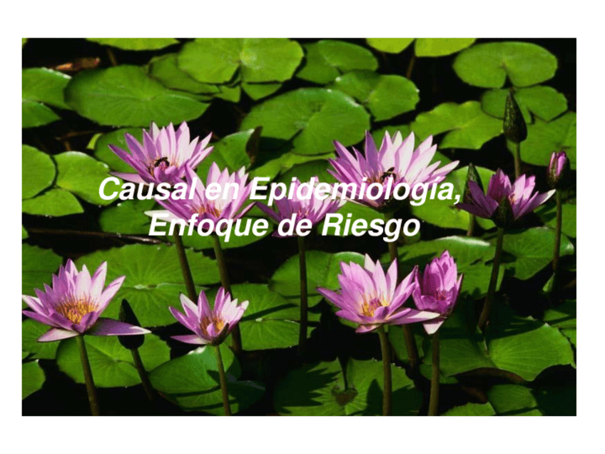 Miniatura del documento 7.-Causal-en-Epidemiologia.-Enfoque-de-Riesgo.pdf