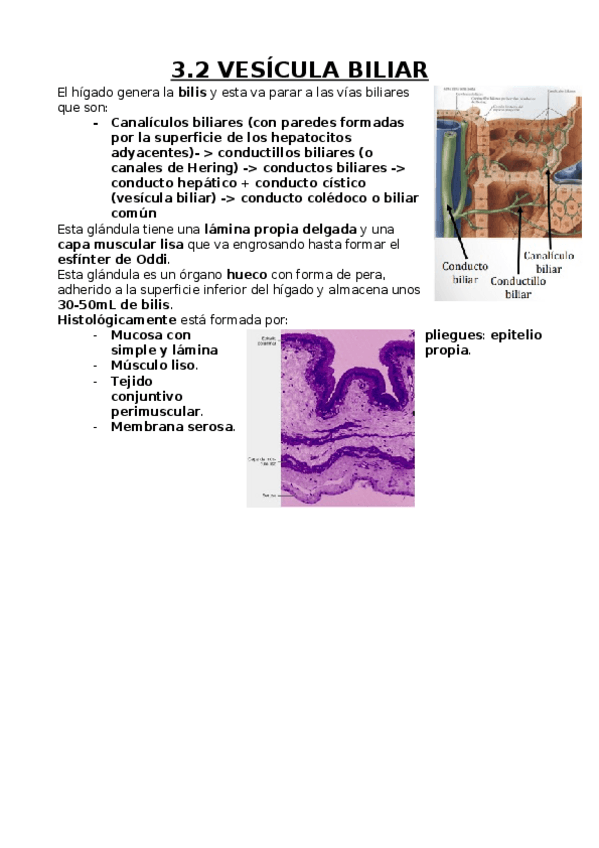 Miniatura del documento Vesícula biliar.docx