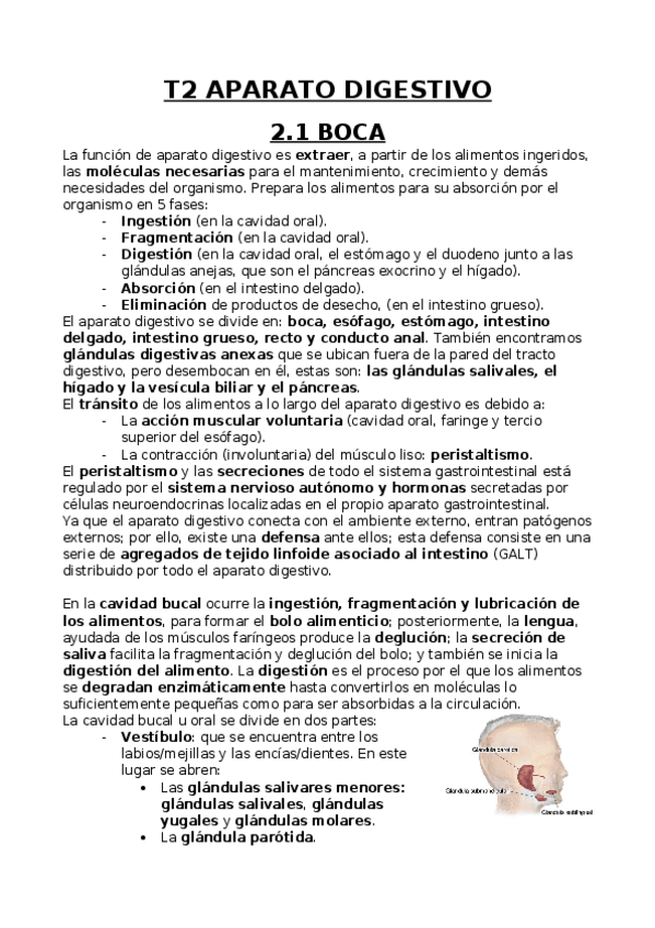 Miniatura del documento Boca.docx