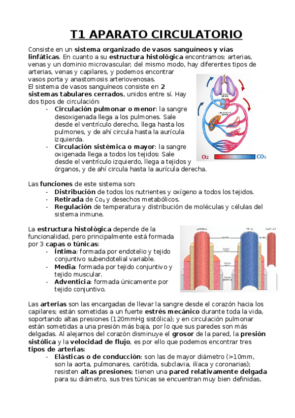 Miniatura del documento Aparato circulatorio.docx