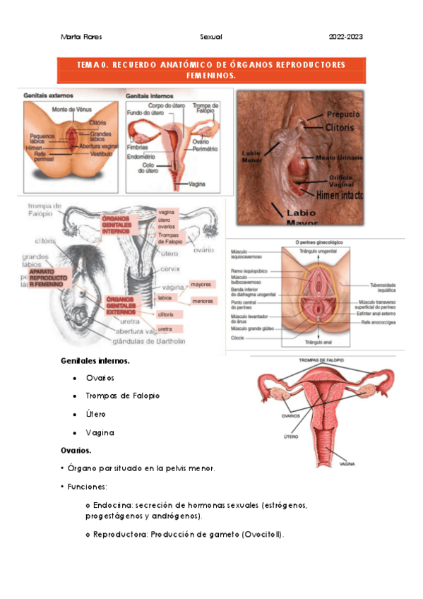 Miniatura del documento Tema-0.pdf