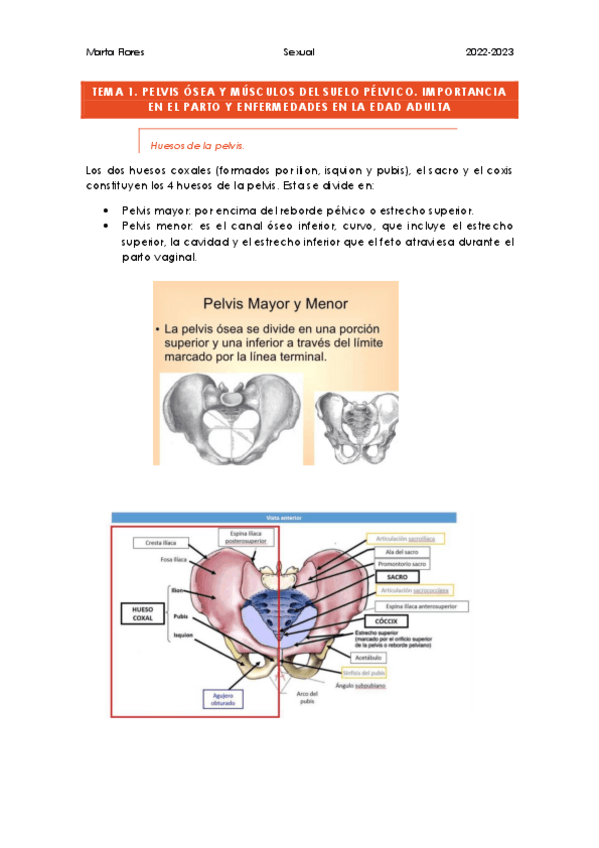 Miniatura del documento Tema-1.pdf