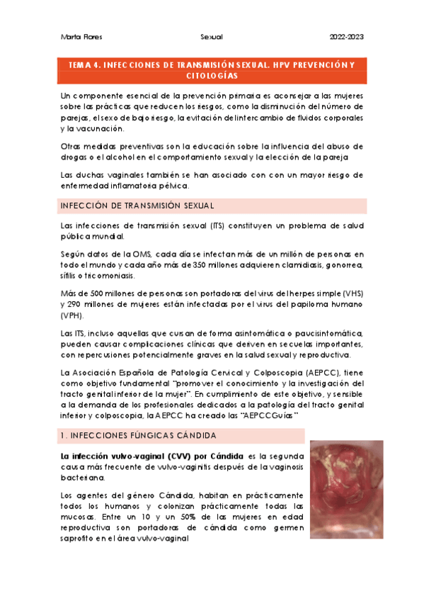 Miniatura del documento Tema-4.pdf