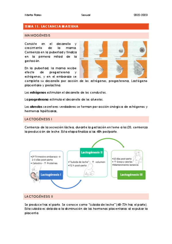 Miniatura del documento tema-11.pdf