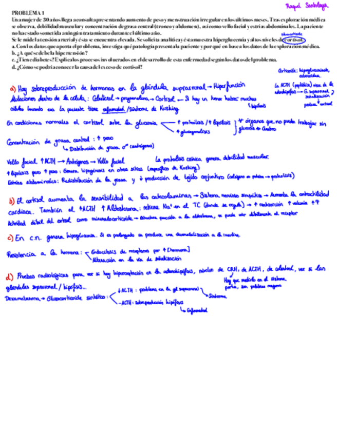 Miniatura del documento Seminarios-Endocrino.pdf