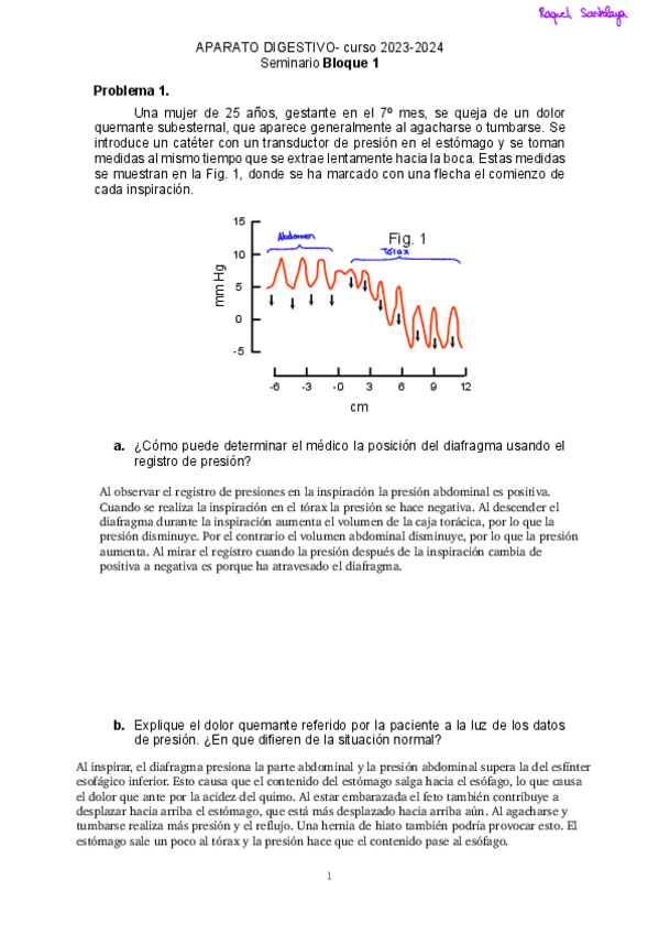 Miniatura del documento Seminario-Digestivo-1.pdf