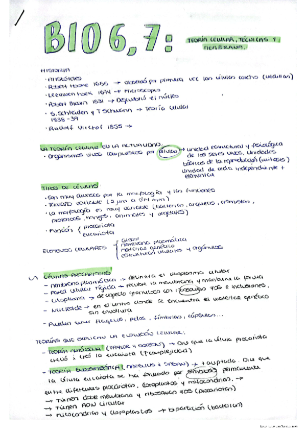 Miniatura del documento Teoria-celular-tecnicas-y-membrana.pdf