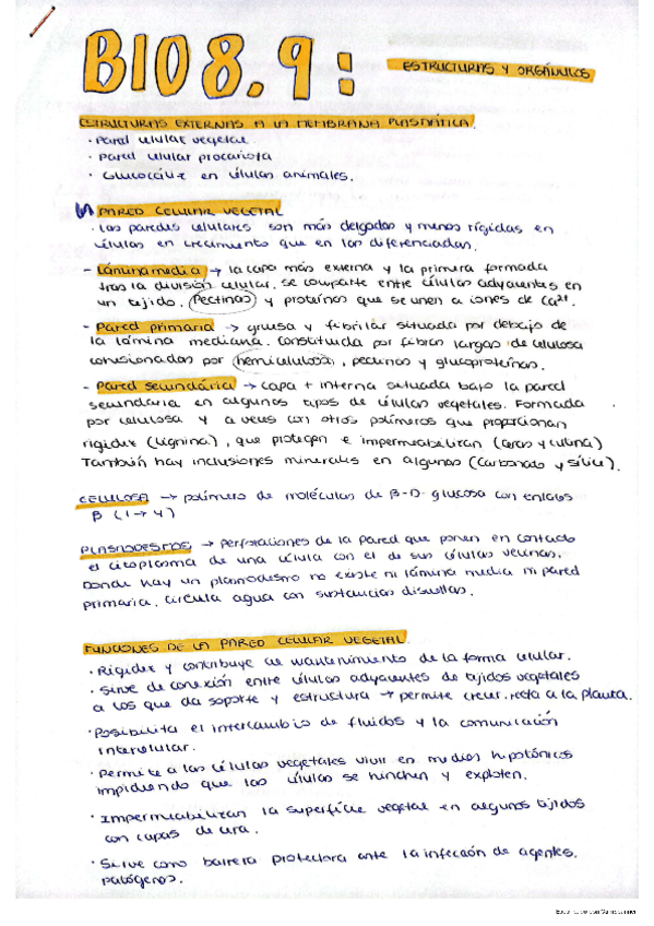 Miniatura del documento Estructuras-y-orgánulos.pdf