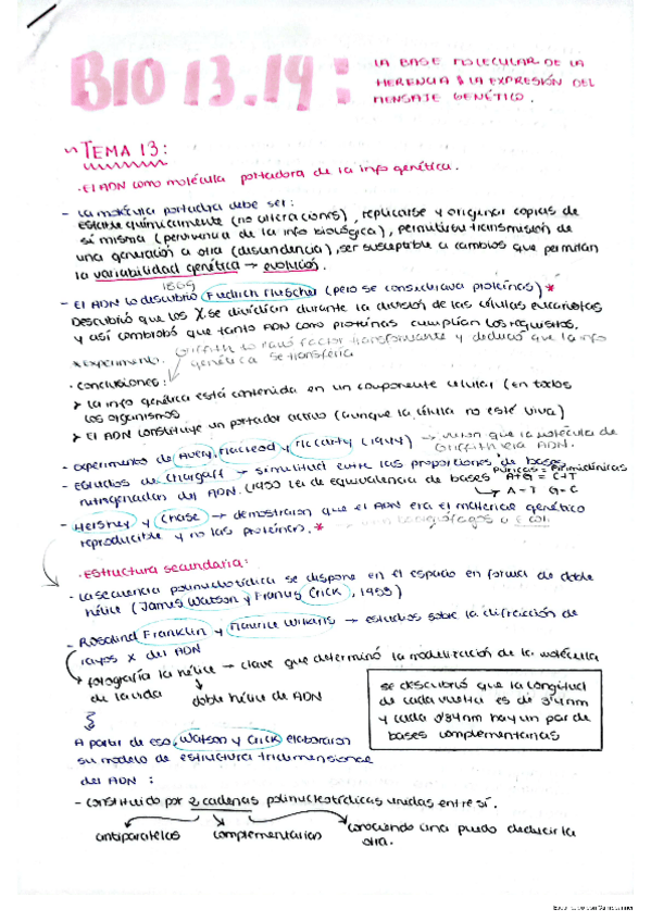Miniatura del documento Base-molecular-y-expresion-genetica.pdf