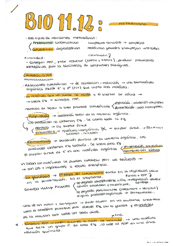 Miniatura del documento Metabolismo.pdf