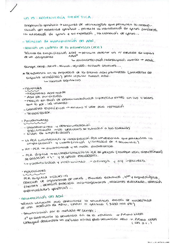 Miniatura del documento Ingenieria-genetica.pdf