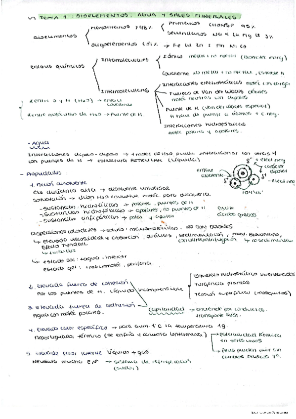 Miniatura del documento Resumen-bio-TODO.pdf