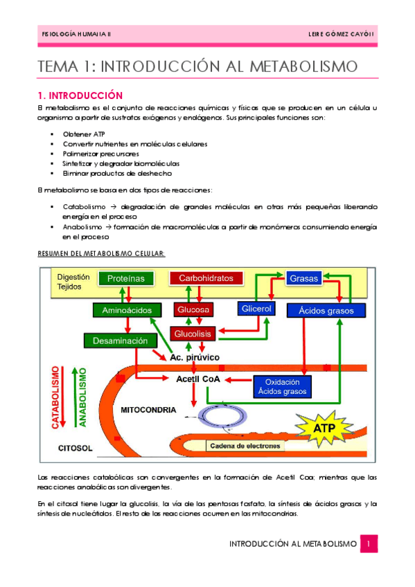 Miniatura del documento 01.-INTRODUCCION-AL-METABOLISMO.pdf
